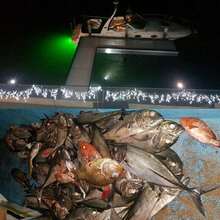 (Virtual Warehouse) 12V108LED Lure Fish Lamp - White Light - View 10