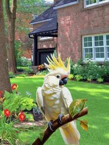 Encantador Loro Blanco de Jardín - Decoración plana 2D de acrílico para el jardín, arte de pájaros para el patio y el jardín, decoración de metal sin batería para pájaros de exterior, decoración de pájaros de exterior