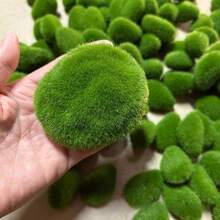 حجر الطحالب الخضراء الاصطناعية، صخور الطحالب، حجر طحالب خضراء مزيفة، مصنوعة من مادة البي في سي، لتزيين الحدائق، ترتيبات الزهور، إكسسوارات التصوير الفوتوغرافي، أحواض السمك، حفلات الزفاف، حدائق الفراشات والأعمال اليدوية، ديكور حدائق الصخور للخارج، حدائق الفراشات DIY، ديكورات الأعياد والمناسبات