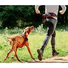 Rogz Airtech Sport Dog Harness Sunset Pink