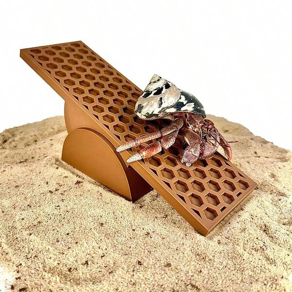 1pc Hermit Crab, Turtle Ladder, Lizard Seesaw, Amphibious Animal Toy, Reptile Habitat Climbing Ramp, Suitable For Glass Container Decor, Provides Ample Space For Turtles, Tortoises, Lizards To Promote Healthy Reptile Growth