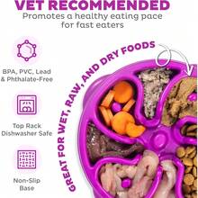 Outward Hound Medium Slow Feeder Bowl, Puzzle Maze For Fast Eaters, Small To Medium Dogs, Helps Prevent Bloat & Aid Digestion, Holds 2 Cups Wet Or Dry Food, Non-Slip, Made Without BPA, Turquoise - Màu tím - Xem 3