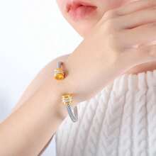 1 件不锈钢绳状手链，镶有 12 颗诞生石和锆石，适合女性