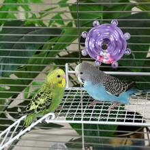 1pc Parrot Perch Stand, Metal Material Durable & Non-Slip, Suitable For Parrot Resting & Jumping, Random Style Delivery