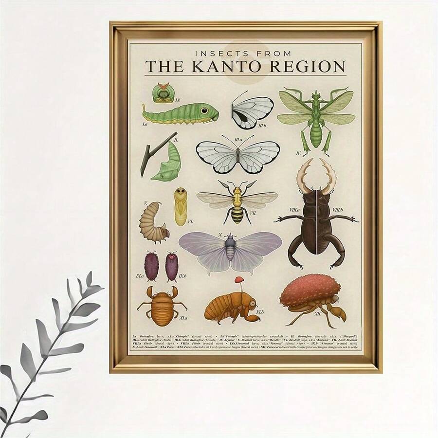 Kanto Region Insect Illustration Poster - Frameless Rolled Canvas Wall Art, Decorative Vintage Entomology Print For Living Room, Bedroom, Office, Cafe Decoration, Festival Gift - Other Textile Materials - A - View 1