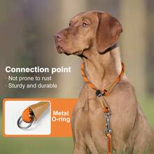 1PC Reflective Rope Training Dog Collar, Nylon Braided No Pull Quick Release Round Rope Collar With Adjustable Stopper For Medium And Large Dogs - Orange - View 7