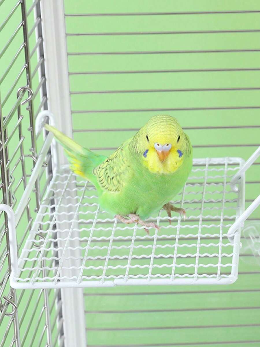 1pc Parrot Perch Stand, Metal Material Durable & Non-Slip, Suitable For Parrot Resting & Jumping, Random Style Delivery