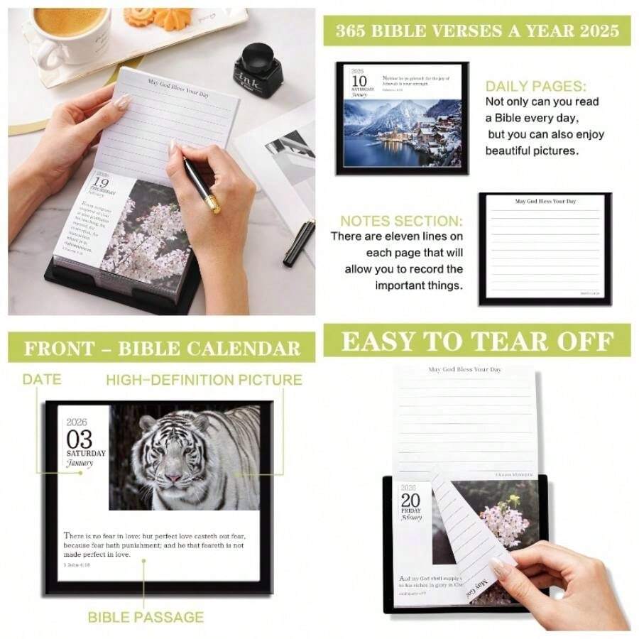 2026-bible-calendar-bible-verses-calendar-2026-from-jan-2026-dec