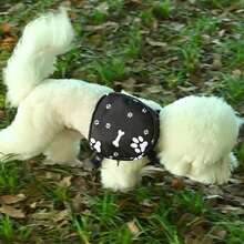 Dog Backpack - אפור - ראה 7