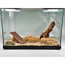 1pc Hermit Crab, Turtle Ladder, Lizard Seesaw, Amphibious Animal Toy, Reptile Habitat Climbing Ramp, Suitable For Glass Container Decor, Provides Ample Space For Turtles, Tortoises, Lizards To Promote Healthy Reptile Growth