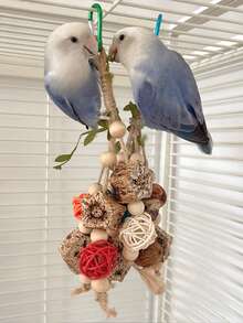 1 szt./2 szt./3 szt. Zabawki do żucia dla ptaków, zabawne i do rozwiązywania zagadek do dekoracji klatki dla ptaków, różne style i kolory