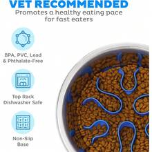 Outward Hound Medium Slow Feeder Bowl, Puzzle Maze For Fast Eaters, Small To Medium Dogs, Helps Prevent Bloat & Aid Digestion, Holds 2 Cups Wet Or Dry Food, Non-Slip, Made Without BPA, Turquoise - 不銹鋼 - 查看 3