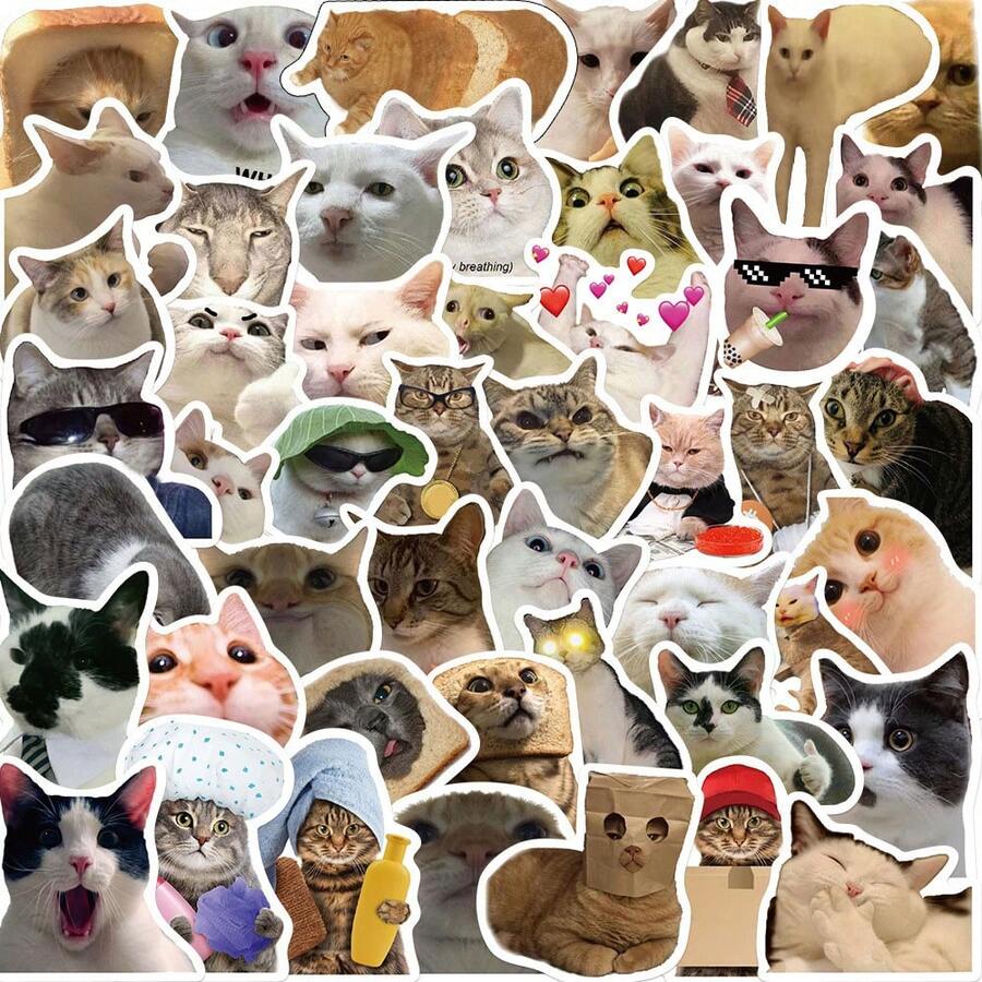 50pcs Funny Cat Stickers Animal Stickers Cat Stickers Cute Cat Stickers Cat Meme Stickers Cat Toys Cat Decor For Water Bottle, Hydroflask, Guitar, Luggage, Phone, Case, Laptop, Skateboard, Gift
