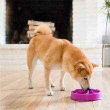 Outward Hound Medium Slow Feeder Bowl, Puzzle Maze For Fast Eaters, Small To Medium Dogs, Helps Prevent Bloat & Aid Digestion, Holds 2 Cups Wet Or Dry Food, Non-Slip, Made Without BPA, Turquoise - Màu tím - Xem 6