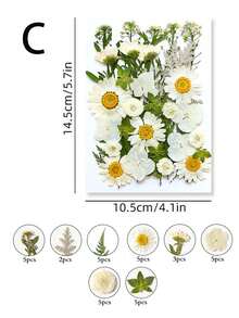 1 Set Natural Dried Flowers, For Nail Art, Resin Art, Candle Making, DIY Craft Decoration, Colorful Epoxy Mold Filler, Mixed Small Pressed Botanicals