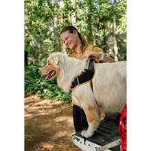 Rogz Airtech Sport Dog Harness Sunset Pink