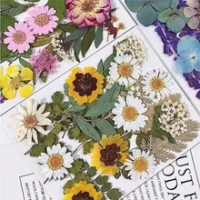 TOPINCN 5 Bolsas de Flores Prensadas Fotografía Pétalo en Relieve Paquete de Flores para Marcapáginas de Imitación Secas Molde Imitación de Flores Secas Surtidas (Tipo 2) - 1 - Ver 5