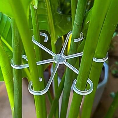 4 Stücke transparente/grüne Pflanzenstützclips, Pflanzenstützklammern, stabile Stengelclips für Kletterpflanzen - Kunststoffmaterial, oder Zimmerpflanzen, Pflanzenstengel-Sammelrahmen, haltbarer und stärker, Blumenstengel-Stützrahmen für Zuhause