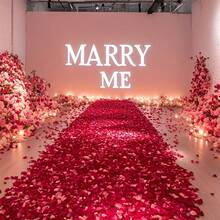 1000/3000 片红玫瑰花瓣 - 逼真的花卉装饰，无需护理，适合婚礼、情人节、派对装饰 - 适合室内和室外使用 - 耐用的塑料玫瑰、周年纪念、生日、照片背景 - 优雅的插花、婚礼装饰、散落的花瓣、可重复使用、活动美化、家居造型 - 紅色 - 查看 9