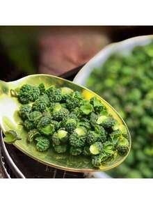 1 Pack (30g) Dried Flowers & Sichuan Peppercorn Decorative Craft, Suitable For Holiday Events, Home Decor In Living Room, Bedroom, Office, Cafe, DIY Handmade Candles, Soaps, Fragrance Diffusers, All Festive Occasions And Parties