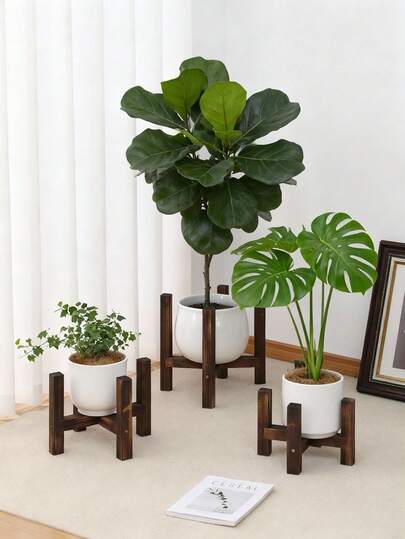 1个天然木炭十字形植物架 - 防虫防潮，节省空间，适用于阳台/室内/室外 | 家居绿植必备