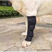Pet Supplies Dog Knee Pads Dog Leg Protectors Pet Protective Gear Dog Surgery/Injury Protection Sleeves