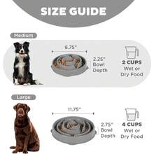 Outward Hound Medium Slow Feeder Bowl, Puzzle Maze For Fast Eaters, Small To Medium Dogs, Helps Prevent Bloat & Aid Digestion, Holds 2 Cups Wet Or Dry Food, Non-Slip, Made Without BPA, Turquoise - Xám - Xem 5