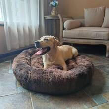 Oval Calming Donut Cuddler Dog Bed, Shag Faux Fur Washable Round Pillow Pet Bed For Small Medium Dogs (XXL(43"X34"X8"), Light Brown), Popular In 2025 - Nâu2021 - Xem 8