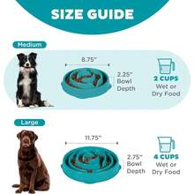Outward Hound Medium Slow Feeder Bowl, Puzzle Maze For Fast Eaters, Small To Medium Dogs, Helps Prevent Bloat & Aid Digestion, Holds 2 Cups Wet Or Dry Food, Non-Slip, Made Without BPA, Turquoise - Màu ngọc lam - Xem 5