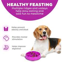 Outward Hound Medium Slow Feeder Bowl, Puzzle Maze For Fast Eaters, Small To Medium Dogs, Helps Prevent Bloat & Aid Digestion, Holds 2 Cups Wet Or Dry Food, Non-Slip, Made Without BPA, Turquoise - Màu tím - Xem 2