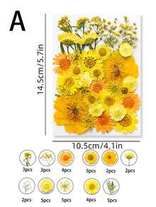 1 Set Natural Dried Flowers, For Nail Art, Resin Art, Candle Making, DIY Craft Decoration, Colorful Epoxy Mold Filler, Mixed Small Pressed Botanicals