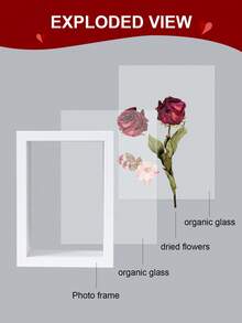 1 件干花展示架，经典桌面收纳盒，适用于客厅、卧室、办公桌装饰，贝壳、干花、叶子标本储存和艺术展示，是送给朋友、家人和爱人的创意礼物 - 彩色 - 查看 7