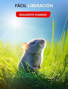 Trampa para ratones, juego de 4 trampas reutilizables con cepillo de limpieza, trampa para ratones de interior, fácil de instalar y limpiar, adecuada para uso doméstico - verde - Ver 7