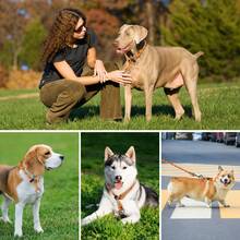 1PC Reflective Rope Training Dog Collar, Nylon Braided No Pull Quick Release Round Rope Collar With Adjustable Stopper For Medium And Large Dogs - Orange - View 9