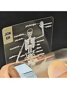 Transparent Human Anatomy Waterproof Poker Cards Playing Cards, Unique Valentines Gifts,The Body Deck, Camping Game Essential,3D Image Educational Poker, Funny Playing Cards For Card Collectors For Anatomy Enthusiasts - Multicolor - View 3