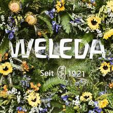 Weleda 金盏花面霜 1.7盎司/50毫升 - 彩色 - 查看 3