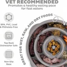 Outward Hound Medium Slow Feeder Bowl, Puzzle Maze For Fast Eaters, Small To Medium Dogs, Helps Prevent Bloat & Aid Digestion, Holds 2 Cups Wet Or Dry Food, Non-Slip, Made Without BPA, Turquoise - Xám - Xem 3