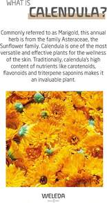 Weleda 金盏花面霜 1.7盎司/50毫升 - 彩色 - 查看 2