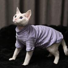 Striped Turtleneck Sweater For Cats, Soft & Skin-Friendly, Loose Fit Striped Design, Multi-Color Cat Clothes, Suitable For British Shorthair & Ragdoll Cats In Spring/Autumn - Purple - View 15