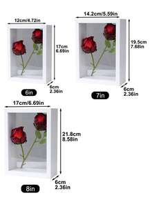 1 件干花展示架，经典桌面收纳盒，适用于客厅、卧室、办公桌装饰，贝壳、干花、叶子标本储存和艺术展示，是送给朋友、家人和爱人的创意礼物 - 彩色 - 查看 10
