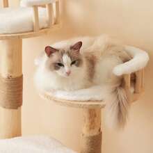 Solid Wood Cat Tree With Exercise Wheel, 4 Platforms, 2 Niches And Sisal Posts, Dimensions 80x40x152 Cm, Washable Scratching Mats, Activity Cat Tree - White + Wood - View 10