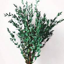 1. Eukalyptusblätter, natürliche getrocknete Blumenstiele, 100/200g echte Eukalyptuszweige für den Duschgebrauch, 2. 43cm konservierte frische Eukalyptusblätter, getrocknete Eukalyptuszweige, für Dekoration, Hochzeit, Heimdekoration, Rattanmaterial, Fotografie-Requisiten