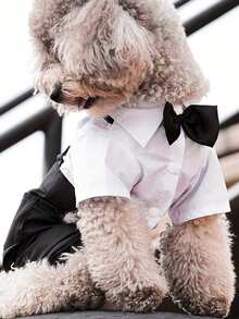 1 件宠物凉爽衬衫，4 腿服装，适合公猫和公狗的正式领衬衫