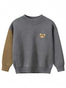 Young Boy Colorblock Round Neck Long Sleeve Cartoon Bear Casual Sweater, Autumn/Winter
