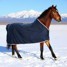 1pc High Quality Fleece Horse Rug, Soft, Breathable, Sweat-Absorbent, Durable Single Layer Horse Blanket Shawl, Suitable For Equestrian, Christmas Season, Autumn/Winter