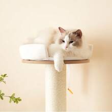 Solid Wood Cat Tree With Exercise Wheel, 4 Platforms, 2 Niches And Sisal Posts, Dimensions 80x40x152 Cm, Washable Scratching Mats, Activity Cat Tree - Brown White + MDF - View 7