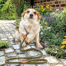 Correa de entrenamiento de nailon antideslizante - MAS.04.24.S