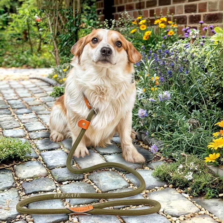 Correa de entrenamiento de nailon antideslizante - MAS.04.24.S