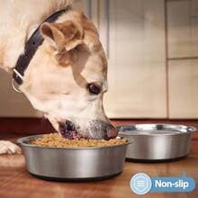 Stainless Steel Dog Bowls Set Of 2, Anti Rust Metal Non Slip Rubber Base, Heavy Duty Large Feeding Dishes, , Food And Bowl Small Dogs 17oz, 2.1cup - Loại B: 2,1 cốc - Xem 7