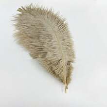 5Pcs/Lot 20-25cm Colorful Artificial Ostrich Feathers For Crafts Wedding Decoration Handicraft Accessories Table Centerpieces Carnival Plumas Decor - Multicolor - View 9